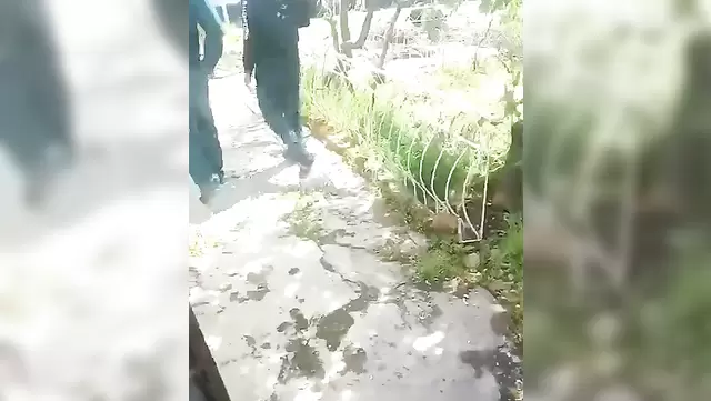 Police found an Uzbek woman on her lover's penis